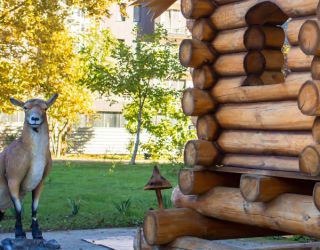 Гранд Отель "Абхазия"